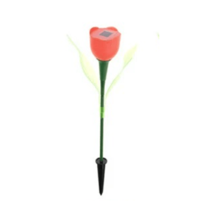 Skanto | Tulip lys som naturlig opplyser kvelder!