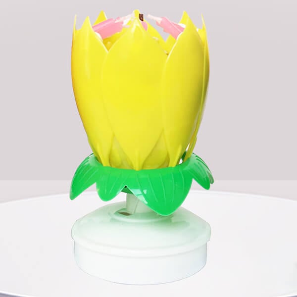Skanto | 🎂Magical Flowers Birthday Candle