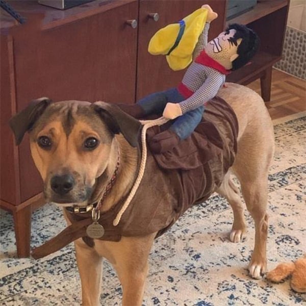 Skanto | Cowboy Rytter Hund Kostyme