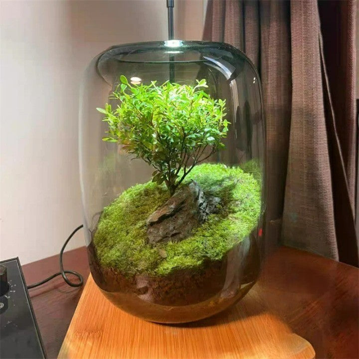 Micro Landscape Green Oasis Glass Vase | Skanto