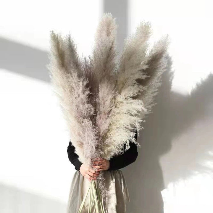 Skanto | FeatherFawn - Tørkede Pampasblomster