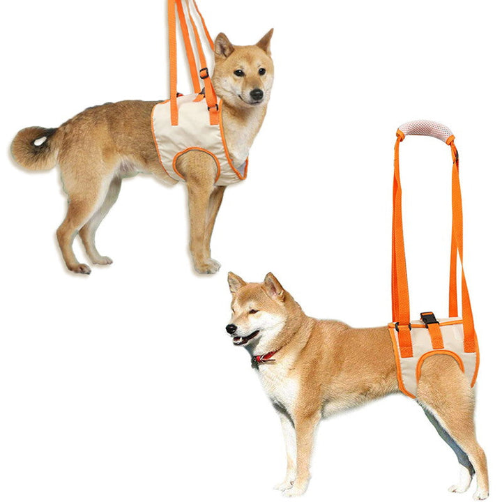 Skanto | Dog Support Lift Harness for ACL Rehab & Arthritis