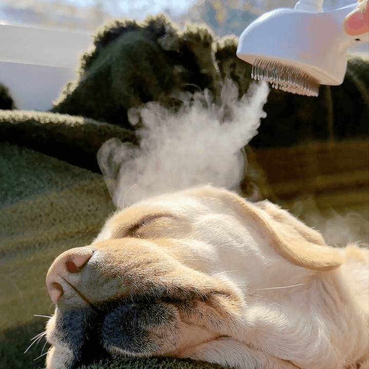 Skanto | DampfVacht Steam Brush – Skånsom pleie for hver hundepels
