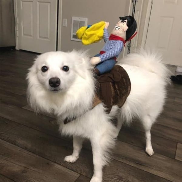 Skanto | Cowboy Rytter Hund Kostyme