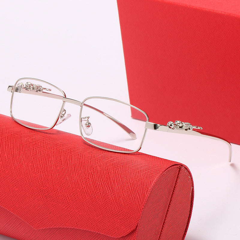 Dame modische Korrektionsbrille mit feinen Verzierungen Skanto