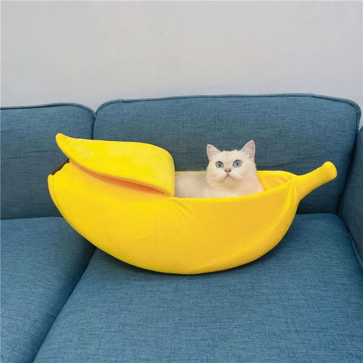 Skanto | PURRFY - Banan Katt Seng