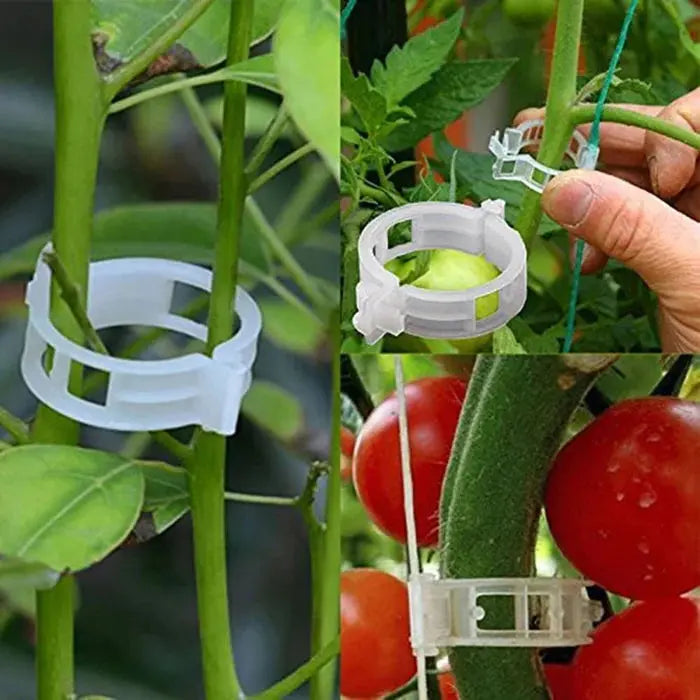 VitaGrip Clips — Sterk hold for majestetiske planter som vokser og trives stolt | Skanto