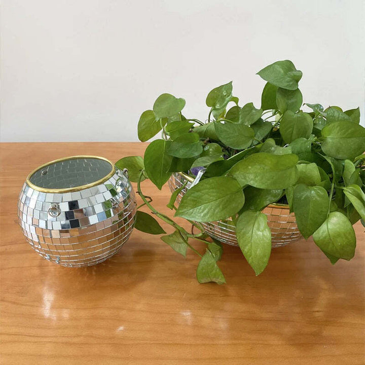 Skanto | Disco Ball Hengende Plante