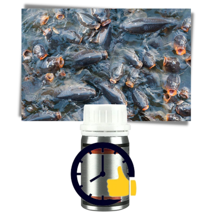 Attraktiv fiskesluk