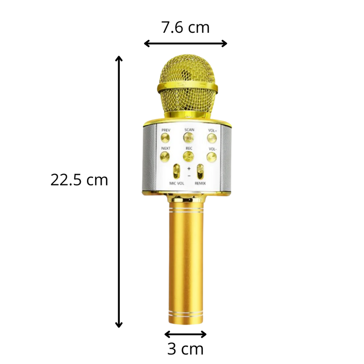 Wireless Bluetooth Karaoke Microphone
