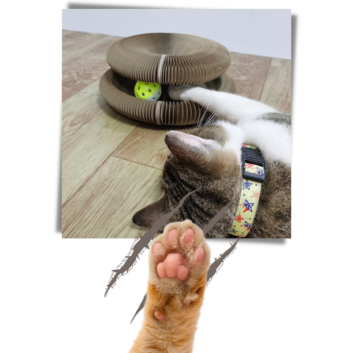 Klorebrett til katt
