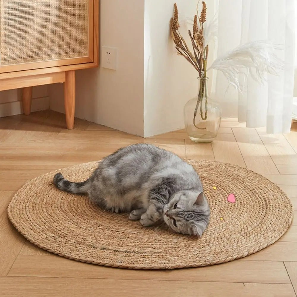 Skanto | KrazeLuxe Matt — Endelig fred fra kløe-kaos og den favorittplassen for katten din