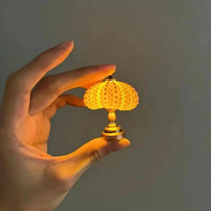 Skanto | LumiCraft – Unik DIY bordlampe med naturlig sjøskjell for en koselig dekor
