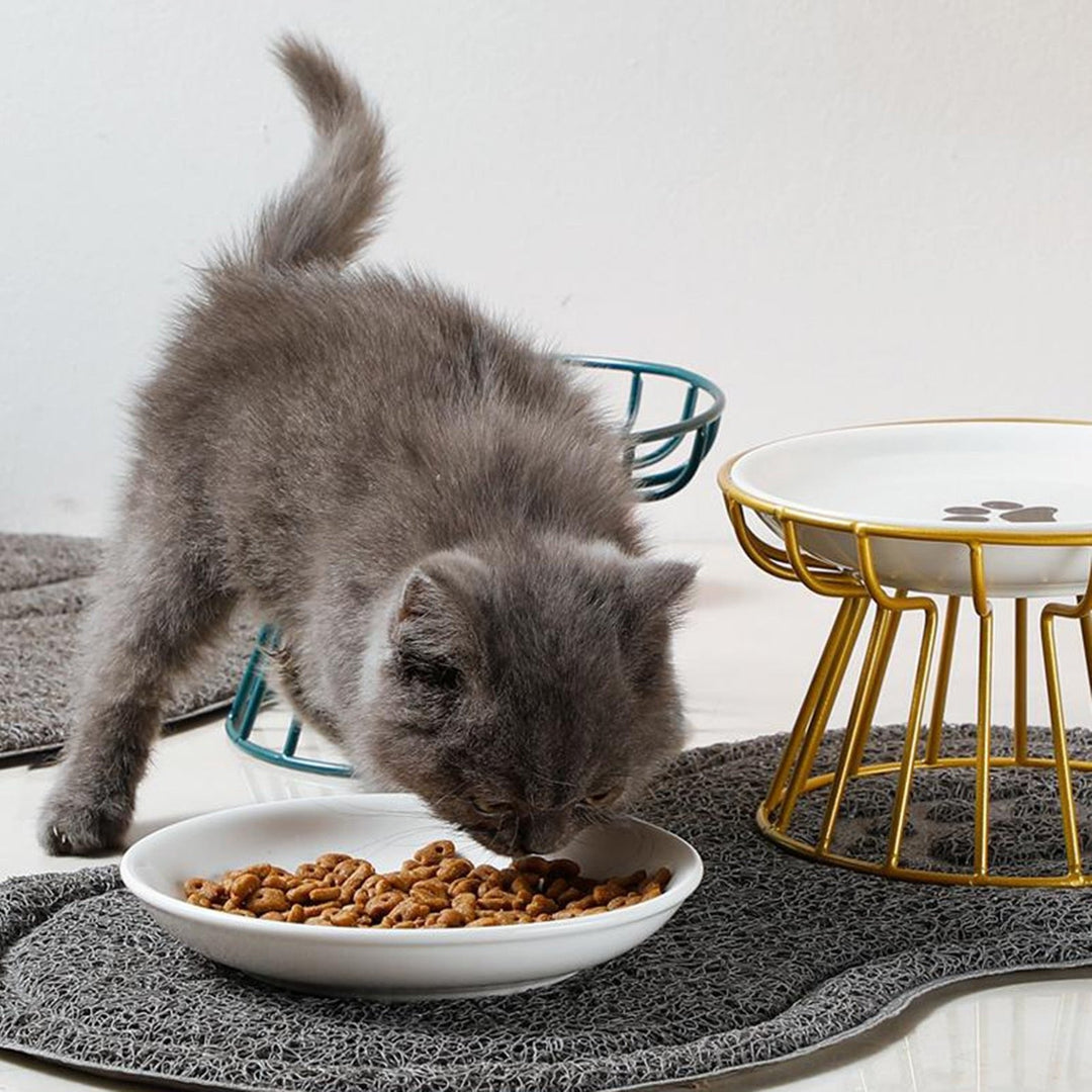 Skanto | Spytt Cat Plate