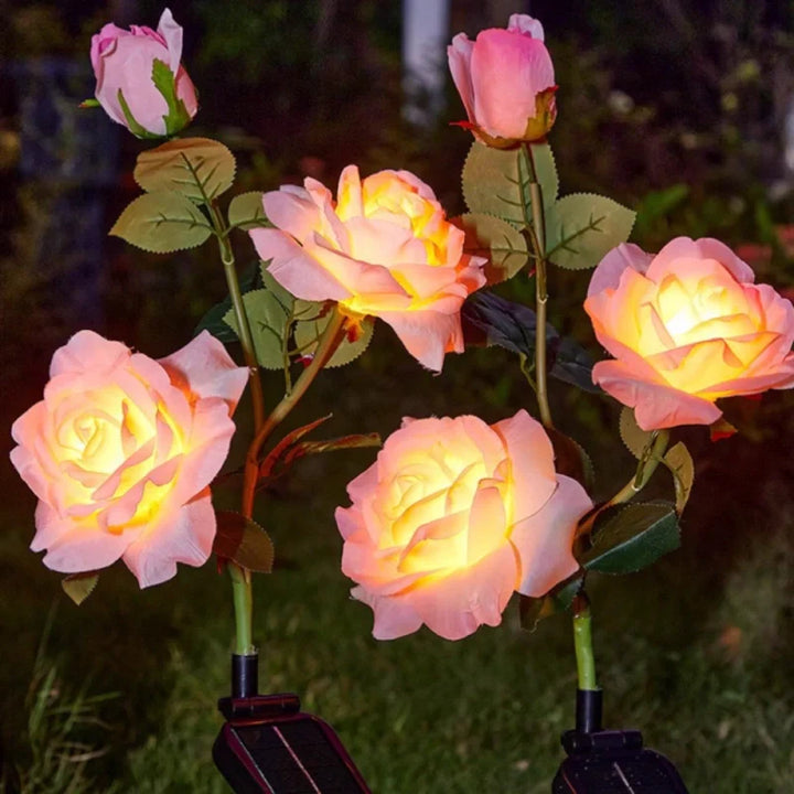 Skanto | Everbloom Solblomster Lys