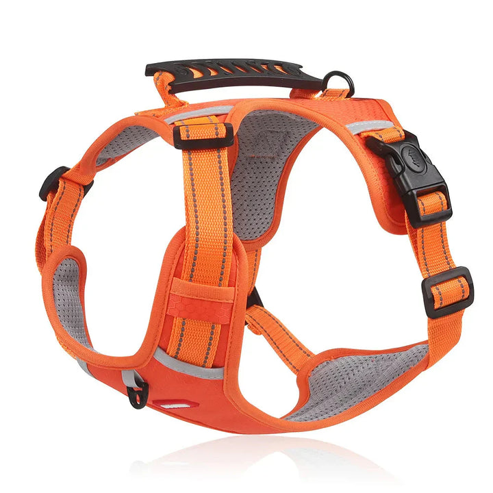 NoPull hundesele – WalkEase Skanto