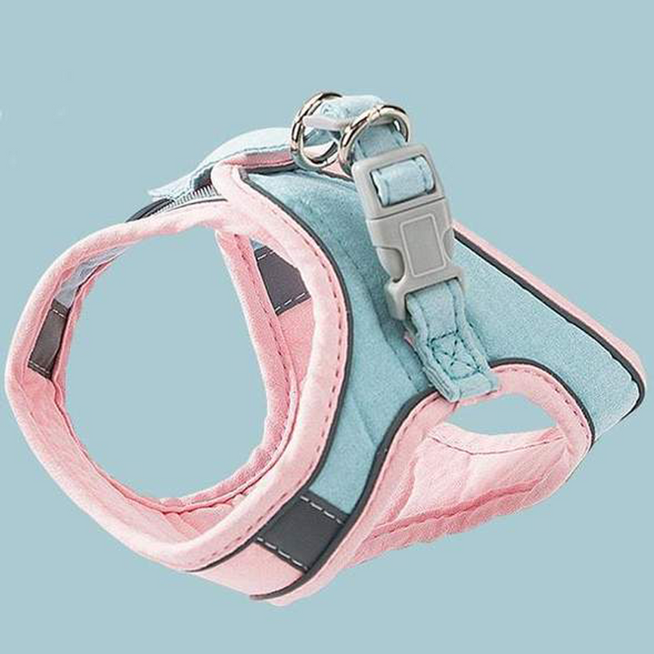 Harness og båndsett for katt | Skanto