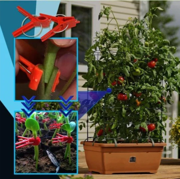 Skanto | Plastforbedringsklips for hageplanter – Ideell for grønnsaker og plantepleie
