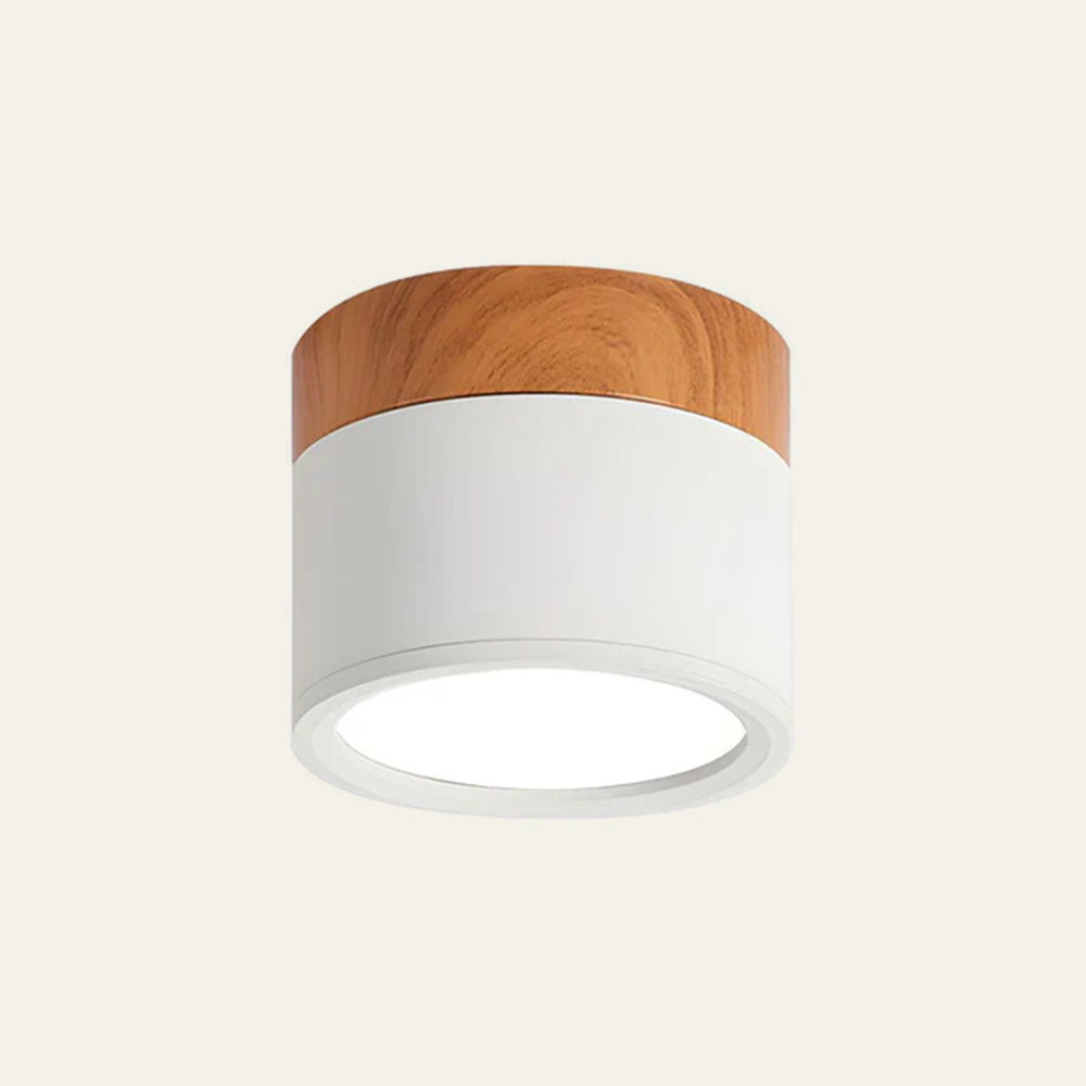 Skanto | LED Taklampe Moderne Flush Mount Sylinder