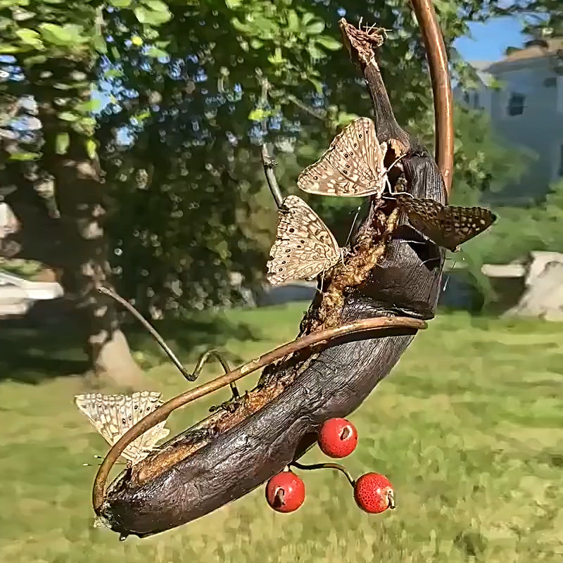 Skanto | Butterfly Banana Hammock-Butterfly Feeding