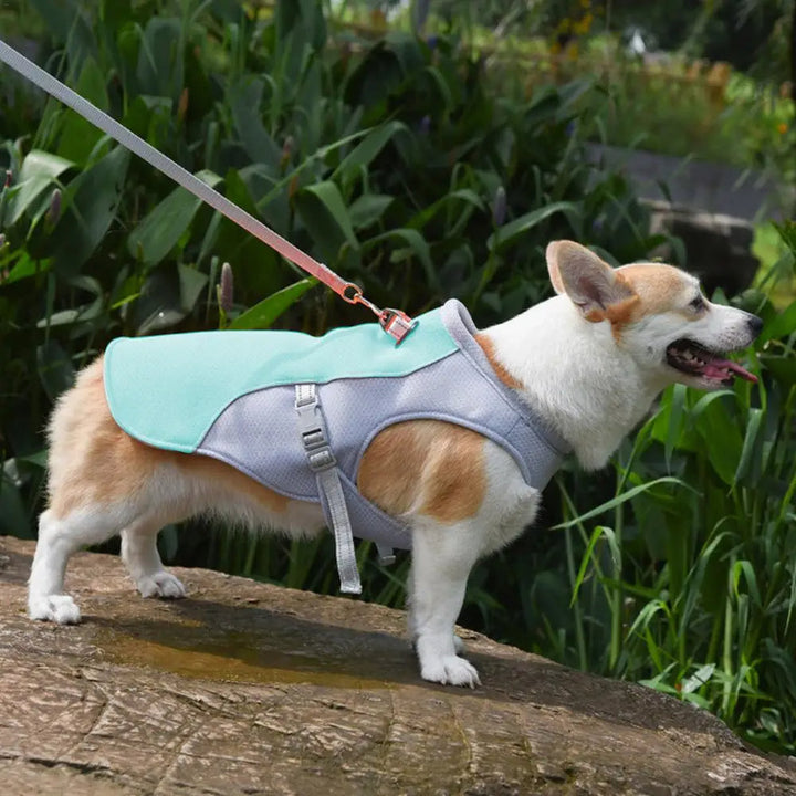 Hund Küling Vest for Utendørs Aktiviteter | Skanto