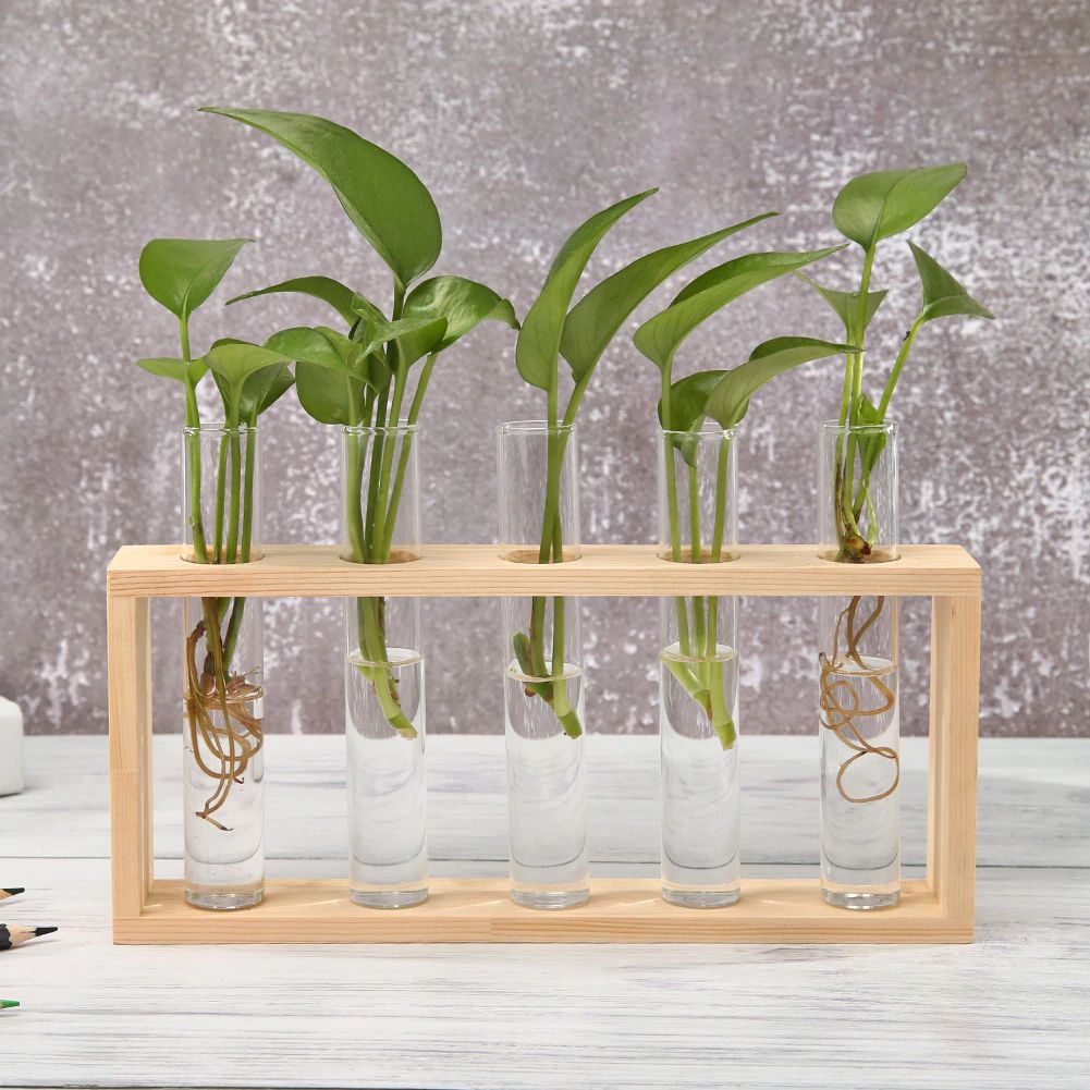 Skanto | Test Tube Vase