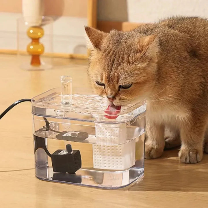 Katt og hund vann dispenser for rent og friskt vann Skanto
