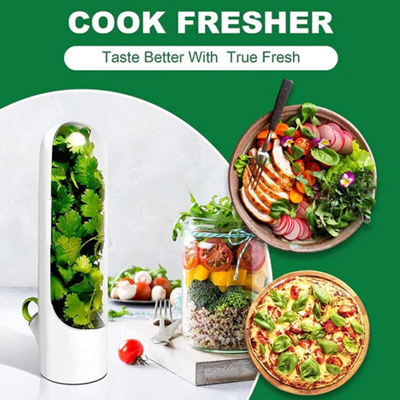 Skanto | Herb Fresh Holder