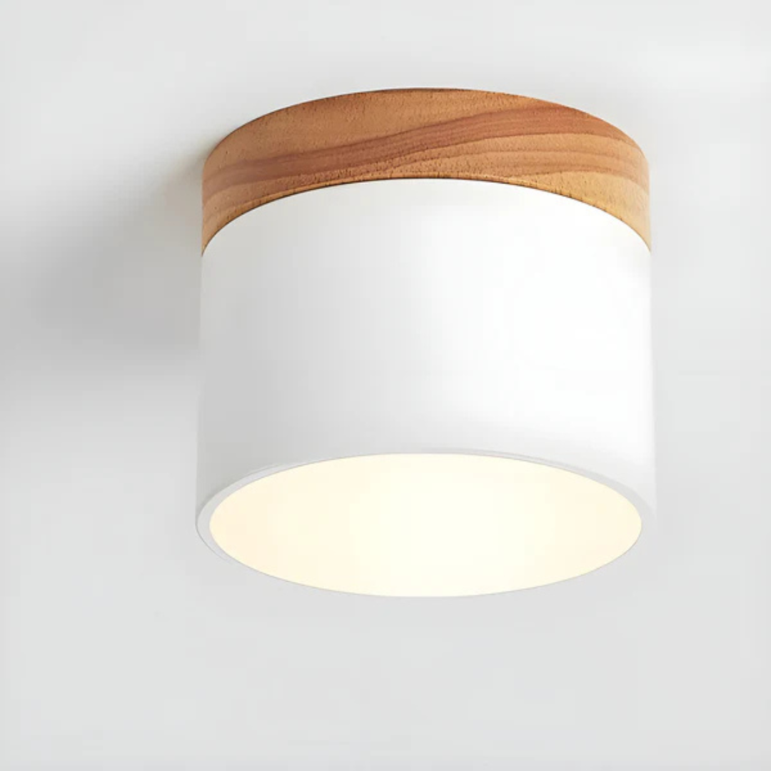 Skanto | Vintage LED Taklampe