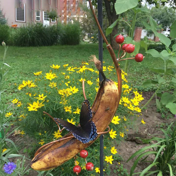Skanto | Butterfly Banana Hammock-Butterfly Feeding