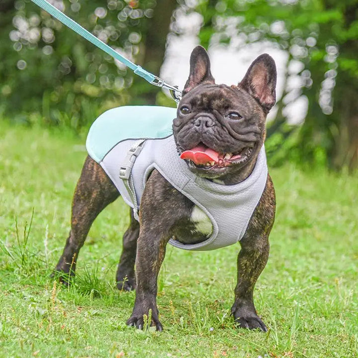 Hund Küling Vest for Utendørs Aktiviteter | Skanto