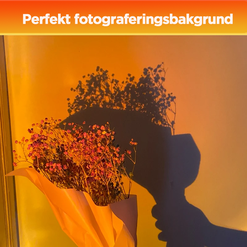 Skanto | Projektor Gulvlampe