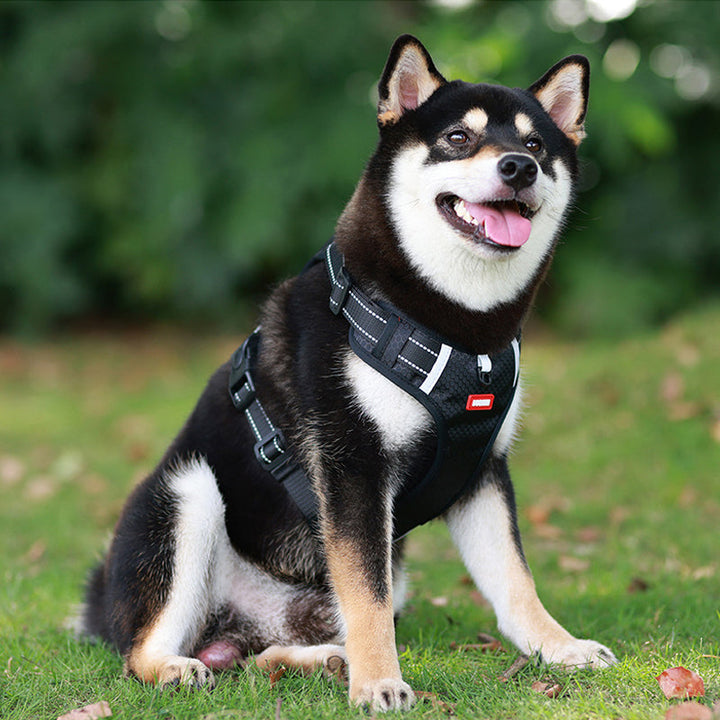 Skanto | Reflekterende Hundesele