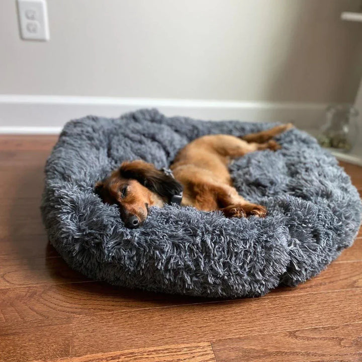 Skanto | Beroligende Hundeseng