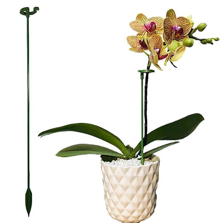 Skanto | Plante støtte