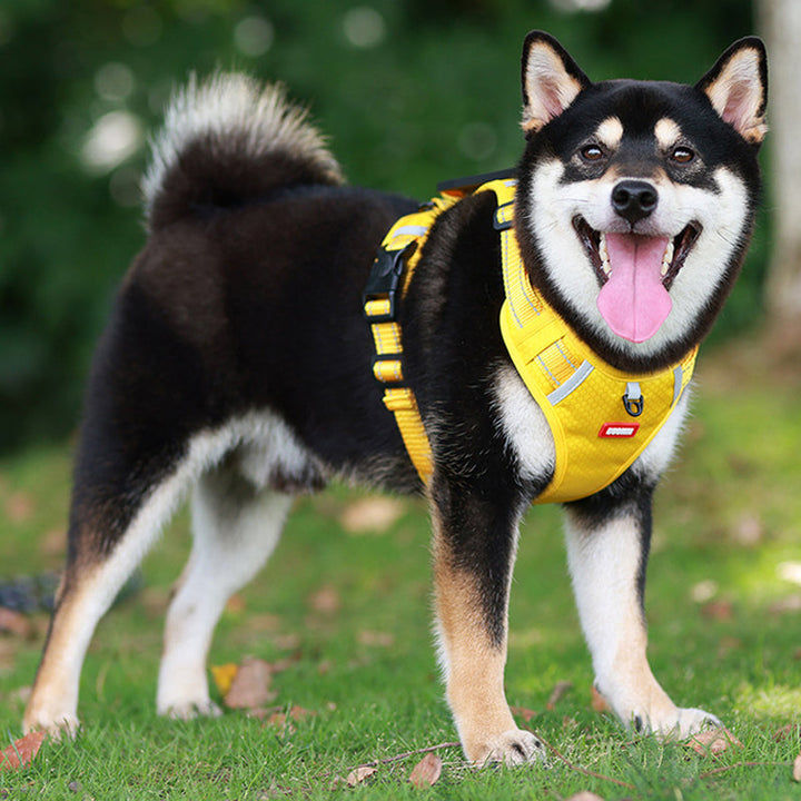 Skanto | Reflekterende Hundesele