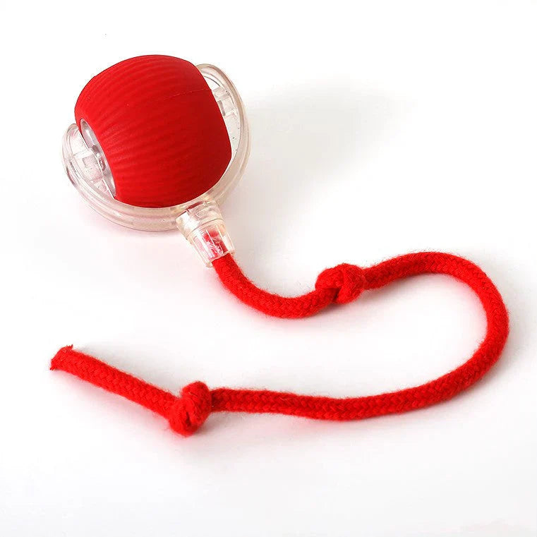 Interaktiv jaktball for katter – HuntJoy Skanto
