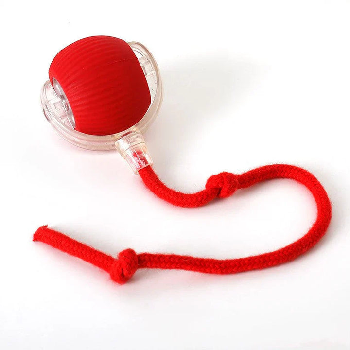 Interaktiv jaktball for katter – HuntJoy Skanto