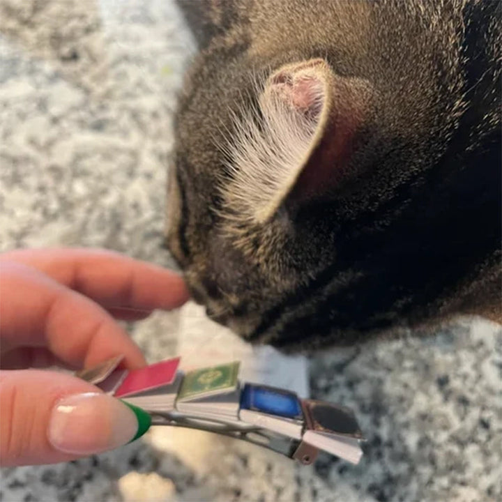 Skanto | Miniatyrbok Hårnål Barrette