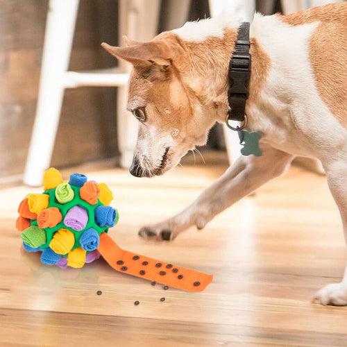 Skanto | SnuffleMaster Interaktiv Hundegodbitball – Foraging og Berikelse Leketøy