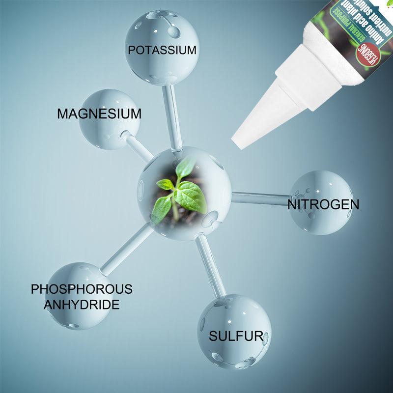 Skanto | Plante næringsløsning