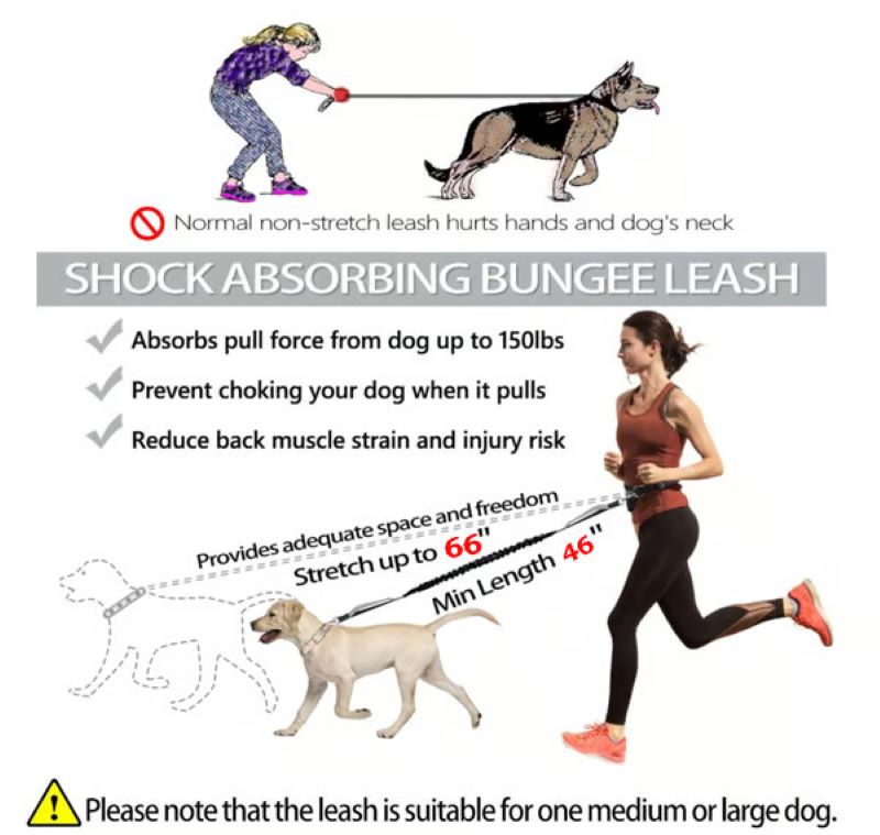 Skanto | Håndfri hundesele med glidelåslomme