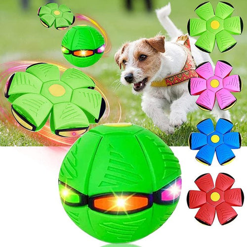 FlyingFrisball - Frisbee Ball for Dogs Skanto
