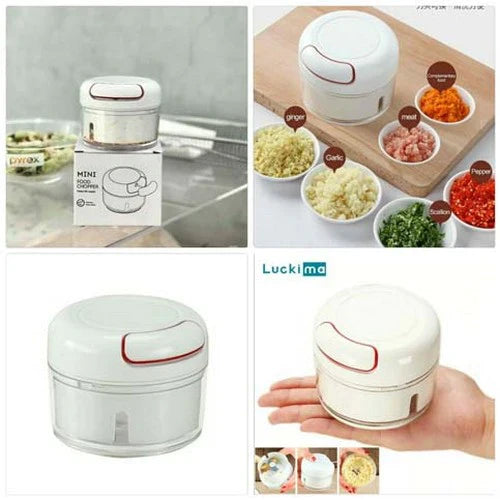 Mini Food Chopper Skanto