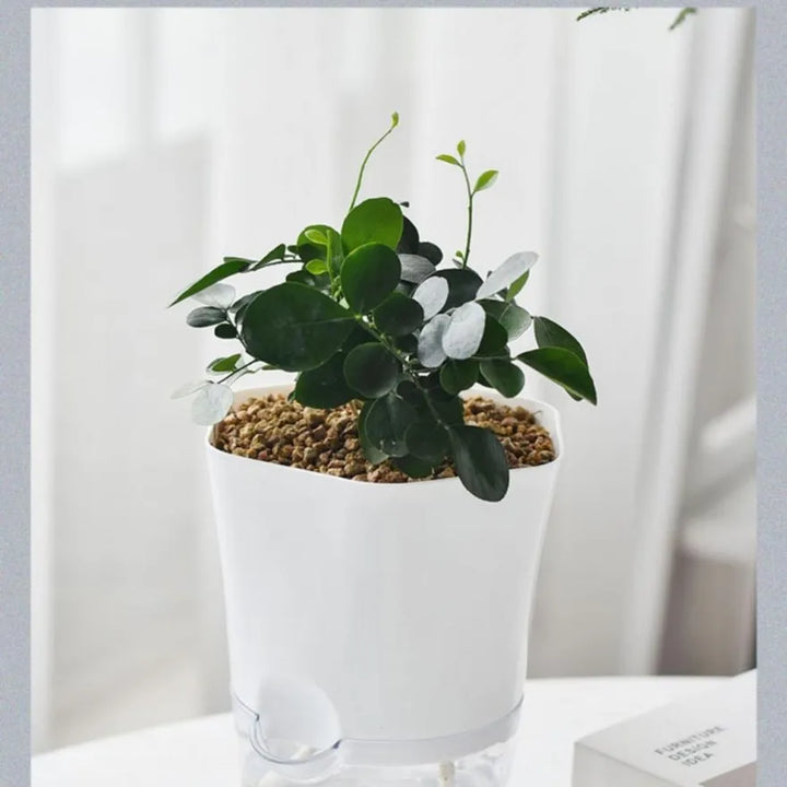 Skanto | Blomsterpotte med vannbeholder – Selvvannende blomsterpotte for stueplanter
