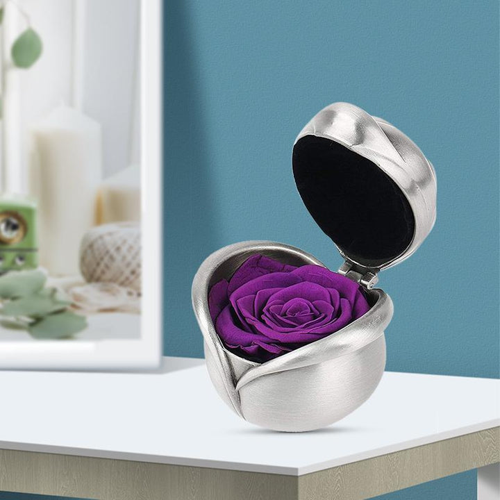 Skanto | Bevarte Blomst Rose