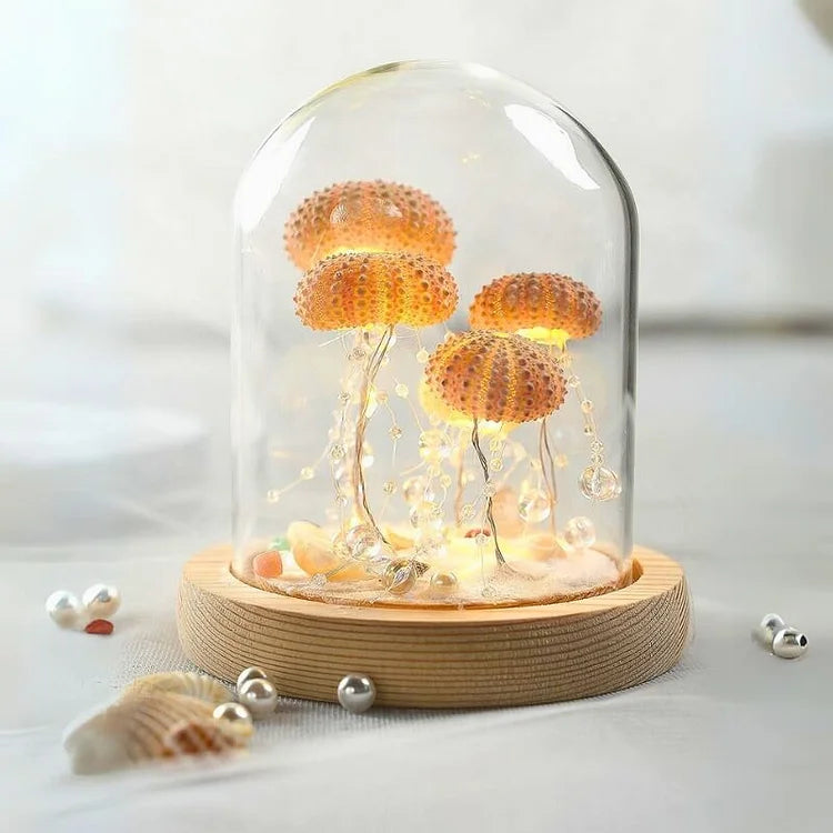 Skanto | LumiCraft – Unik DIY bordlampe med naturlig sjøskjell for en koselig dekor
