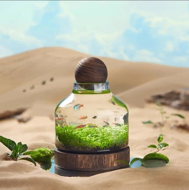 Mikro Akvarium Kompakt Glass Økologisk Fisken Tank | Skanto