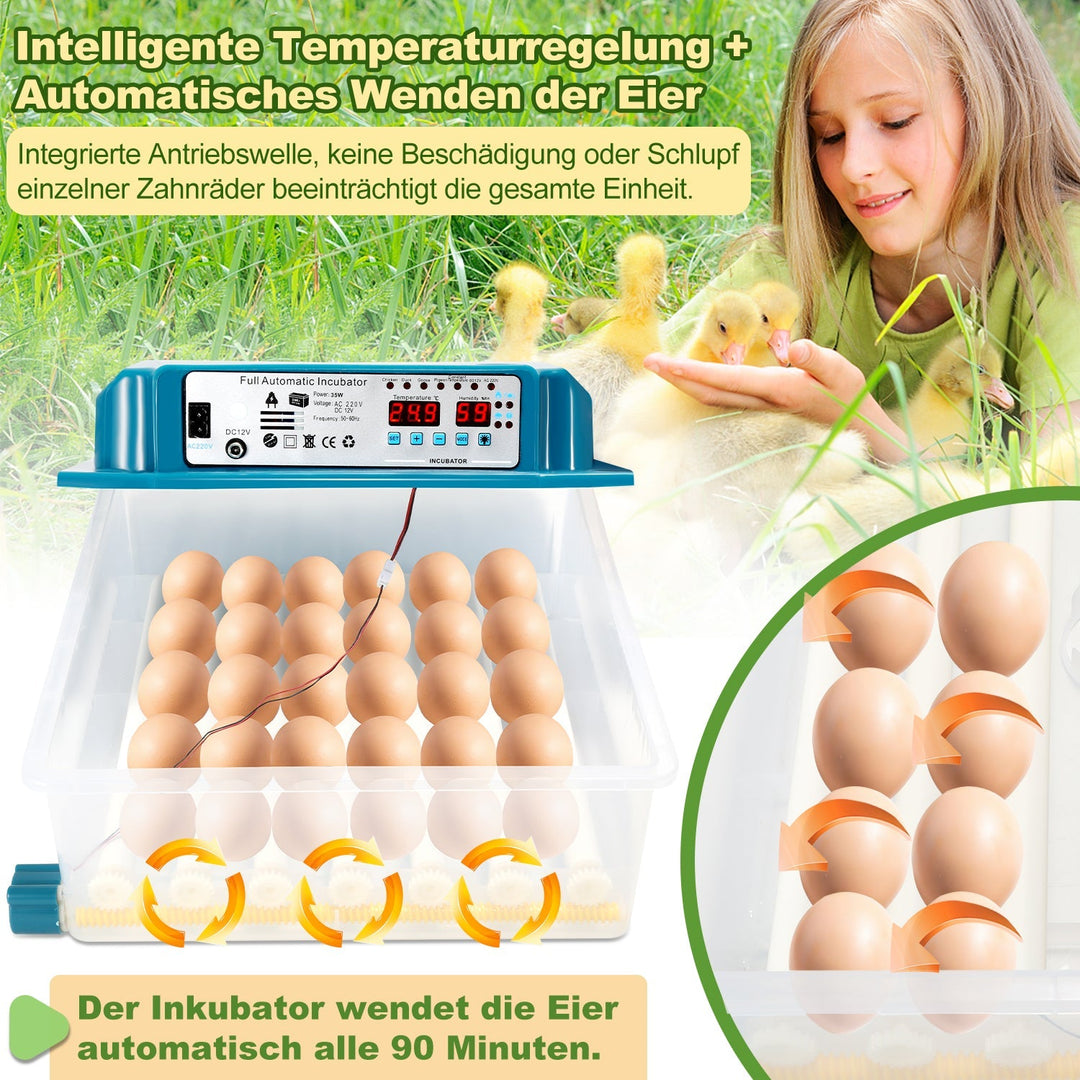Brutautomat Fulle Automatisk Inkubator for Kyllinger 36 Egg | Skanto