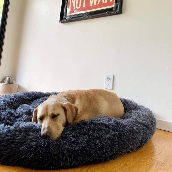 Skanto | Ortopedisk Plysj Donut Hundeseng